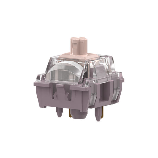 TTC Speed Gold V2 Mechanical  Switch-HIFI Style