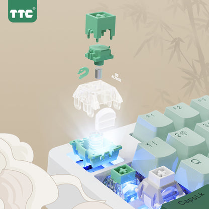TTC Chinese Zodiac Snake Magnetic Switch New Structure New formula High precision gaming Keyboard