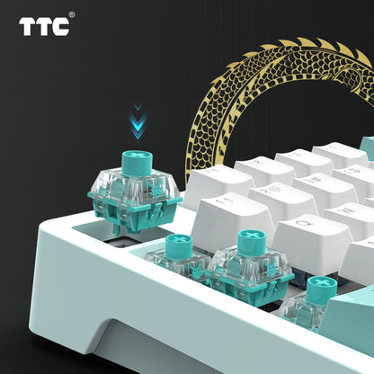 TTC Qing Loong Mechanical Keyboard Switches, Linear Factory Pre-lubed Firm 5-Pin Keyboard Switches