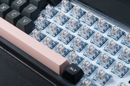 TTC Speed Silver V2 Mechanical Switch