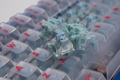 TTC Bluish White Mechanical Switch-Tactile Style