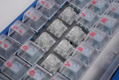 TTC Frozen Silent V2 Mechanical Switch