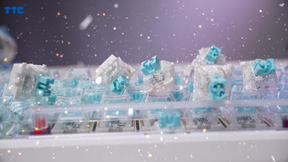 TTC HiFi Snow Magneto Switch-New Arrival (First Openwork Snowflake Craft)