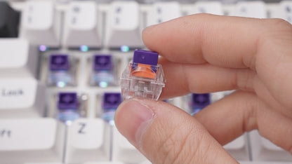 TTC RGB KING PURPLE HEART HE MAGETIC SWITCH-NEW ARRIVAL